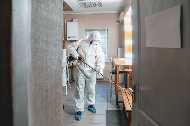 Best Attic Mold Removal  in East Brooklyn, CT