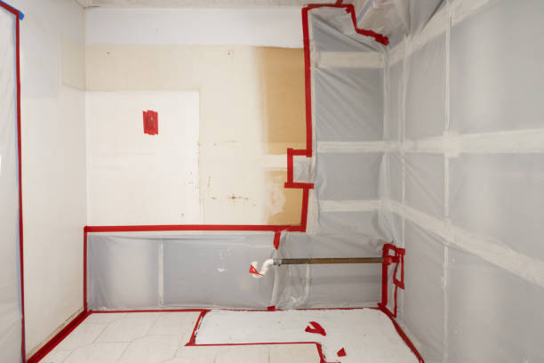 Best Comprehensive Air Testing for Mold Contaminants  in East Brooklyn, CT