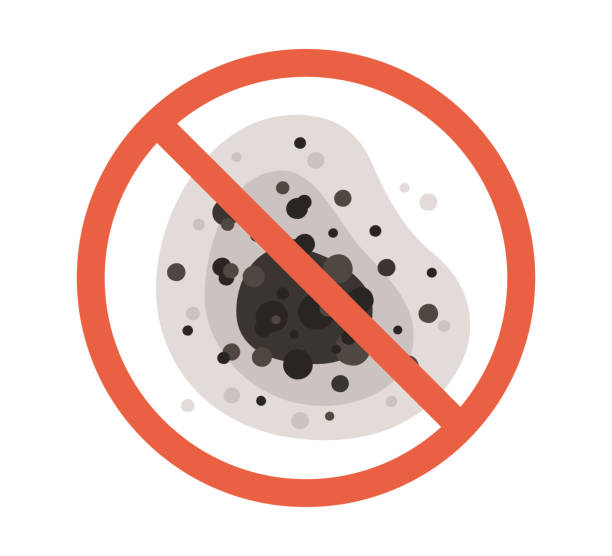 Best Mold Remediation for Healthcare Facilities  in East Brooklyn, CT