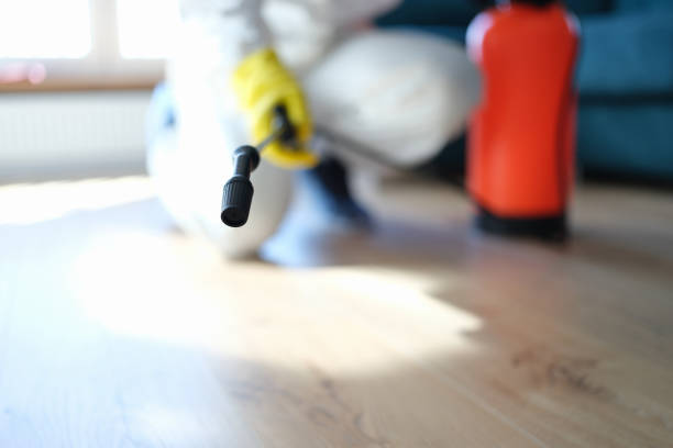 Best Forensic Mold Investigation  in East Brooklyn, CT