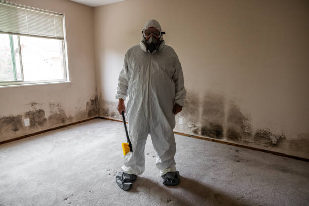 Mold Remediation for Rental Properties in East Brooklyn, CT